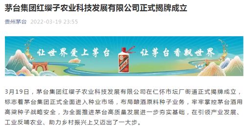 貴州茅臺深夜重磅發聲 全面進軍新市場，戰略升級引領行業新變局